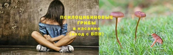 гидра Абдулино