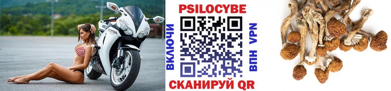 где купить наркоту Апрелевка Галлюциногенные грибы мицелий